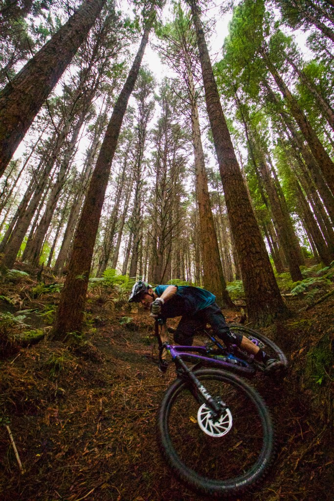 mtb corner in a dense forest